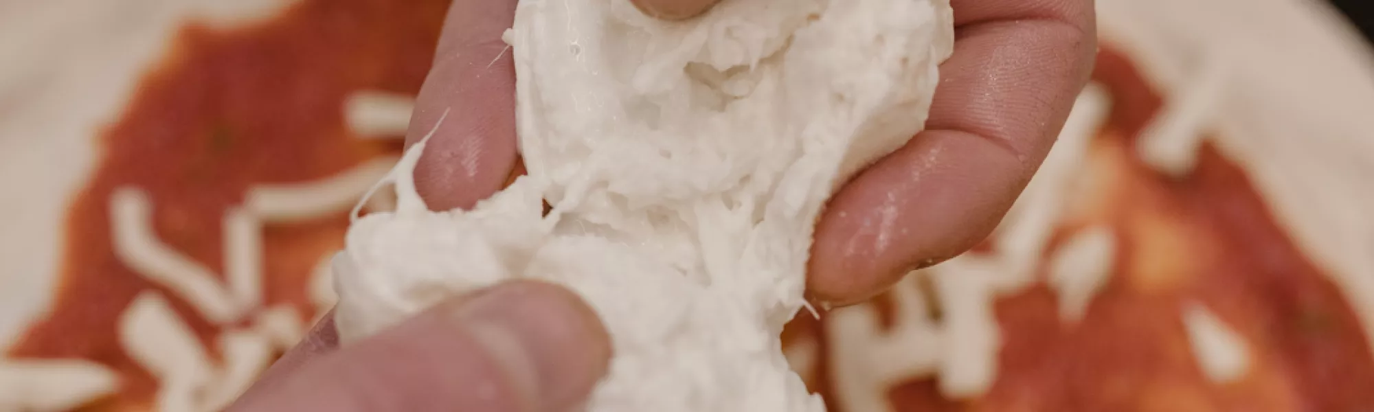 Mozarella fior di latte - Walex Pizza Reims