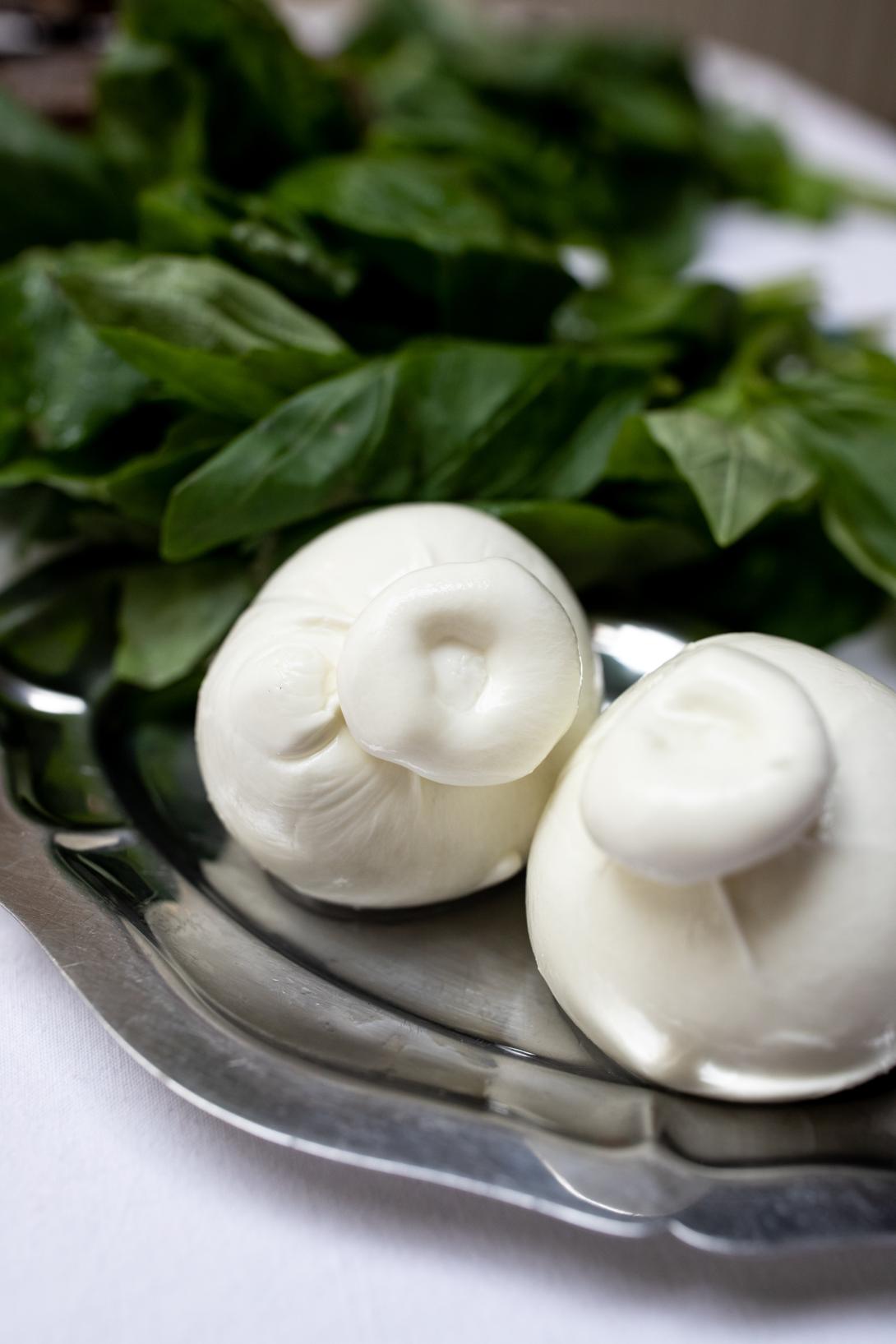 Burrata - Walex Pizza Reims